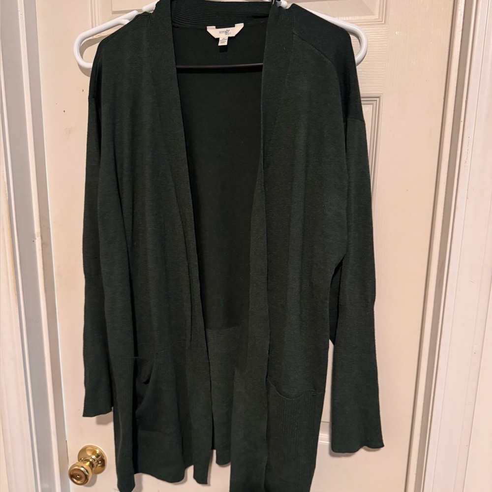 Terra & Sky Blue, Brown, and Green cardigan set - Picture 4 of 5